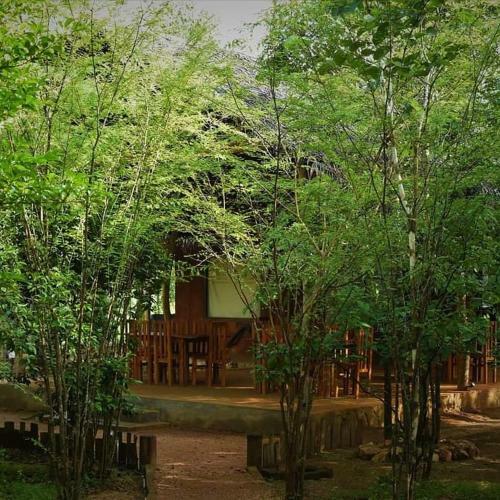 Hotel Sky Forest