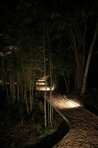 Hotel Sky Forest