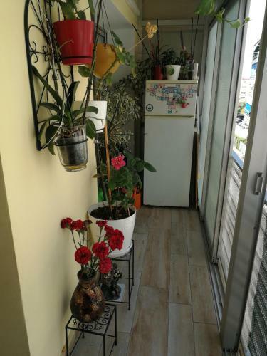 Apartamento Gran Partamiento En Alicante
