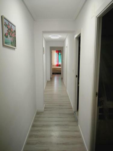 Apartamento Gran Partamiento En Alicante