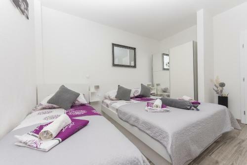 Apartmani Franko