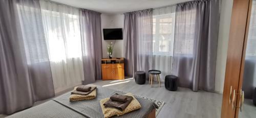Hostal Casa De Vacan?? Baile Herculane