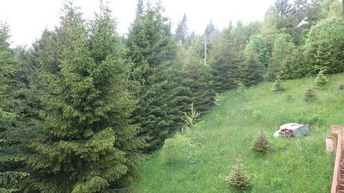 Belis -best View Of The Lake