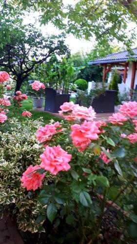 Hostal Andrea Panzi� Keszthely