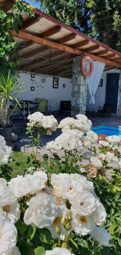 Hostal Andrea Panzi� Keszthely
