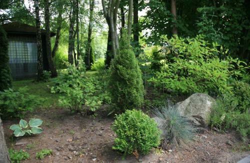 Agroturismo Le?ny Dworek