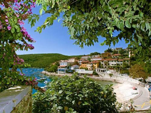 Mare And Terra Apartments Rabac
