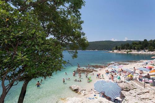 Mare And Terra Apartments Rabac