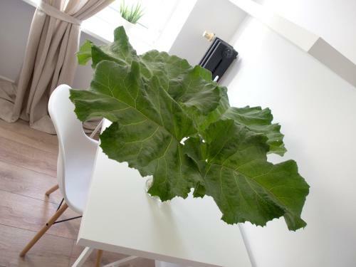 Apartamento Scandinavian Style 3 Bedrooms, Great Location