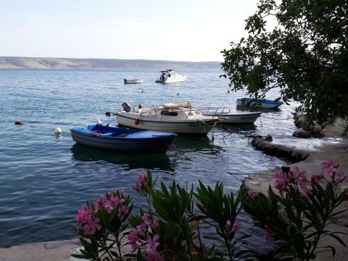 Apartment Old Town Starigrad Paklenica