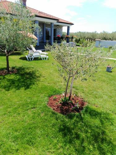 Villa Holiday House Anita