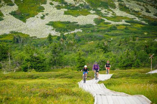 Apartamento Trysil H�yfjellssenter, Fager�sen