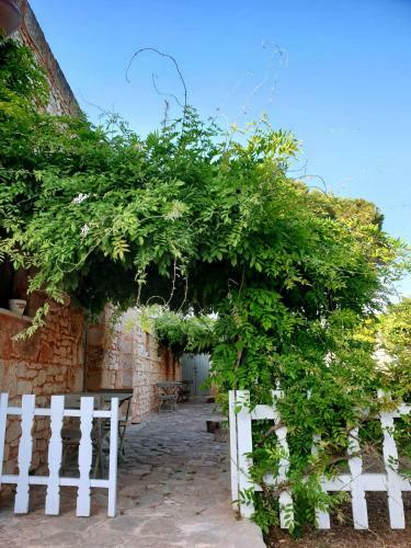 Agroturismo Masseria Triticum