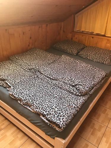 Apartamenty I Pokoje U Grubego