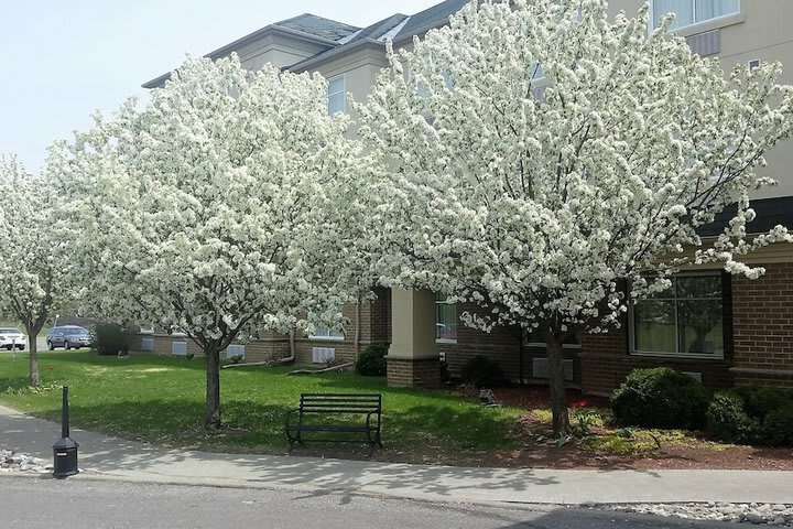 Hotel Days Inn Ottawa Airport