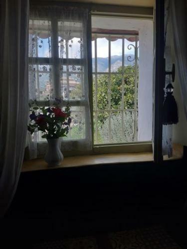 Albergue B & B Finca Sencilla