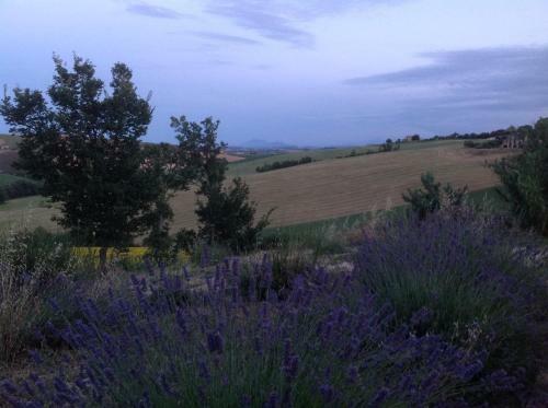 Apartamento Poggio Delle Lavande