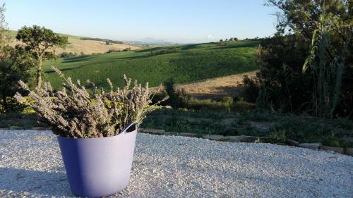 Apartamento Poggio Delle Lavande
