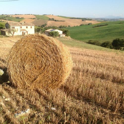 Apartamento Poggio Delle Lavande