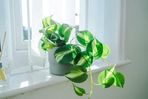 Apartamento Spacious & Luxurious, Peaceful Modern 3 Bed Home
