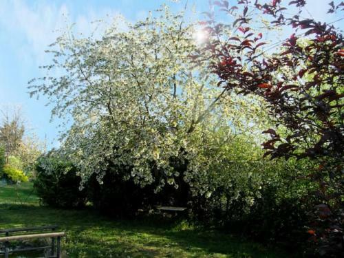Hostal M�lodie Lumineuse Et Spacieuse � 6km Du Pal