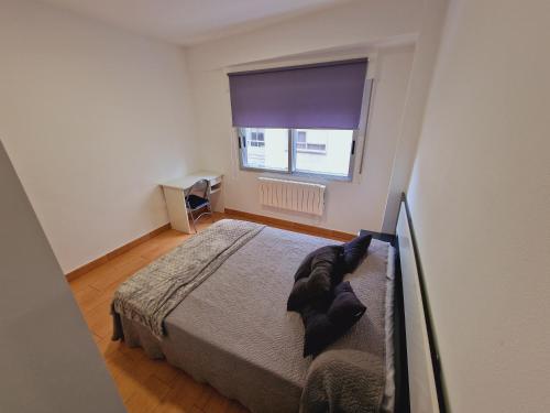 Apartamento Piso Reformado Pontevedra