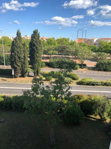 Apartamento C19 Le Colis�e