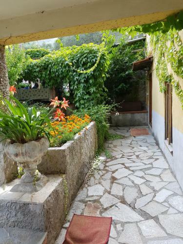 Bed & Breakfast Carugio Del Fezzano