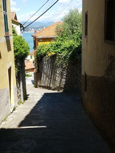 Bed & Breakfast Carugio Del Fezzano