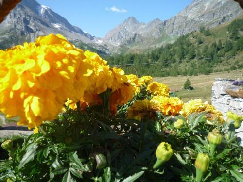 Apartamento Monoloc. Bosco Delle Fate