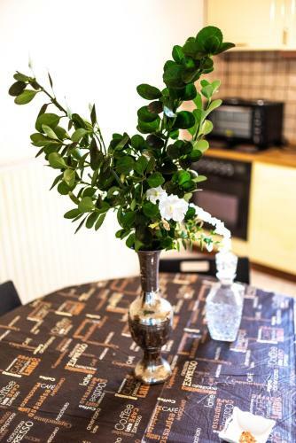 Apartamento George's House