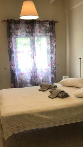 Apartamento George's House