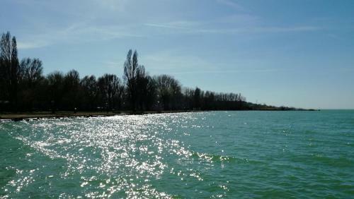 Lelle Central Grand Apartman