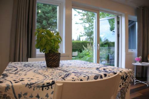 Apartamento Surfers Guesthouse