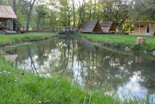 Kamp Na Otoku - Ljubno Ob Savinji