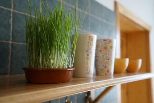 Apartamento Martin's Hidden Garden
