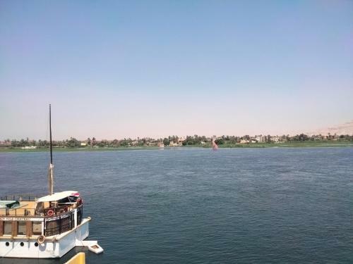 Nile Queen Apartments For Rent
