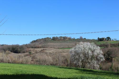 Agroturismo Fattoria Di Rigone