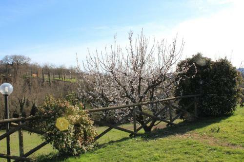 Agroturismo Fattoria Di Rigone