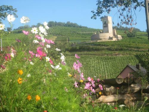 Apartamento Eco-logis Du Vignoble