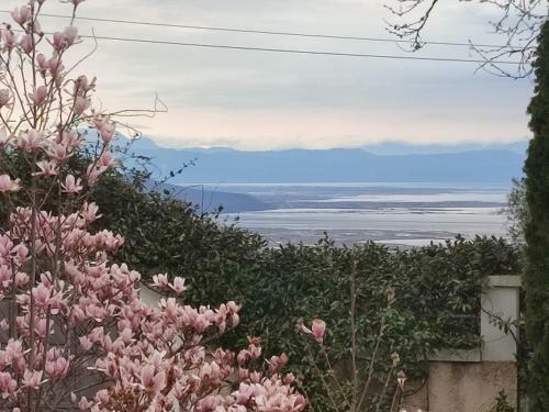 Apartamento Guesthouse Michobeis