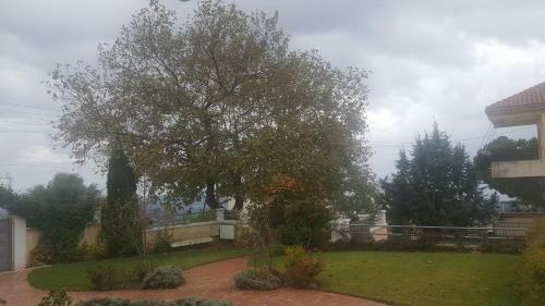 Apartamento Guesthouse Michobeis
