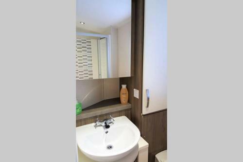 Edinburgh - Seton Sands-cameo Caravan-pet Friendly