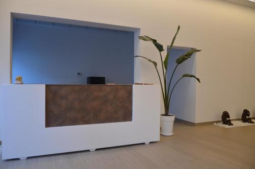 Apartamento El Sue�o De La Mancha
