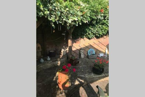 Entire Character House, Beautiful Sleeps Upto 8