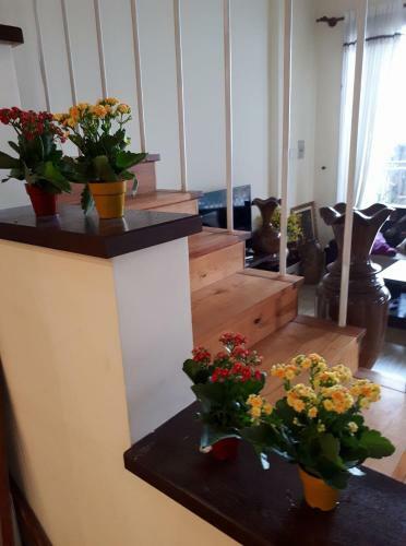 Homestay Bao Chau