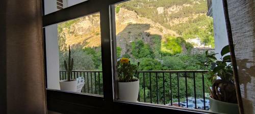 Apartamento Alojamiento Yolanda Cazorla