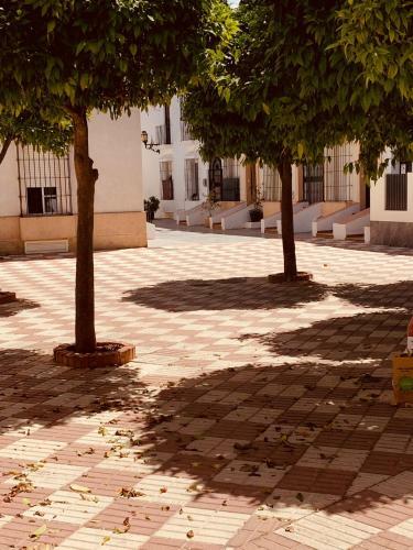 Apartamento Chipiona Acogedor La