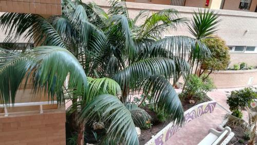 Apartamento Costa Caribe III Residencial