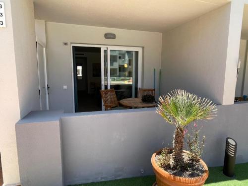 Casa Panamera - Enjoy The Sun In This Relaxed Apartment!